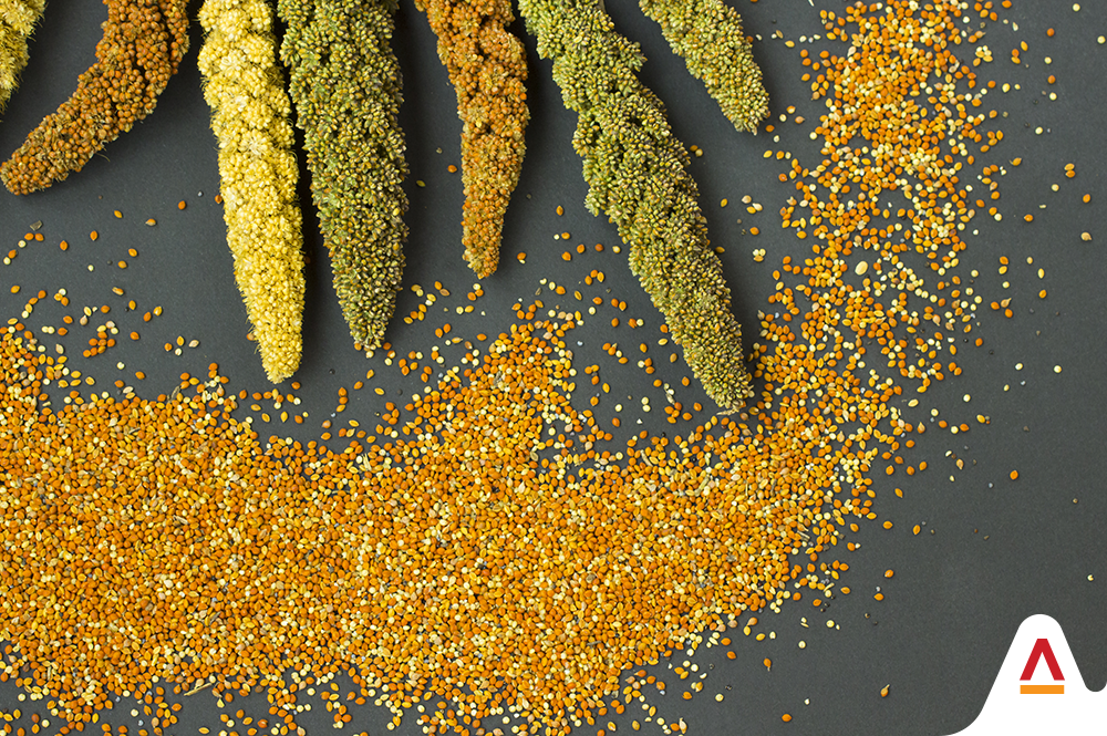 The Sustainable Answer To Today’s Food Market: Millets