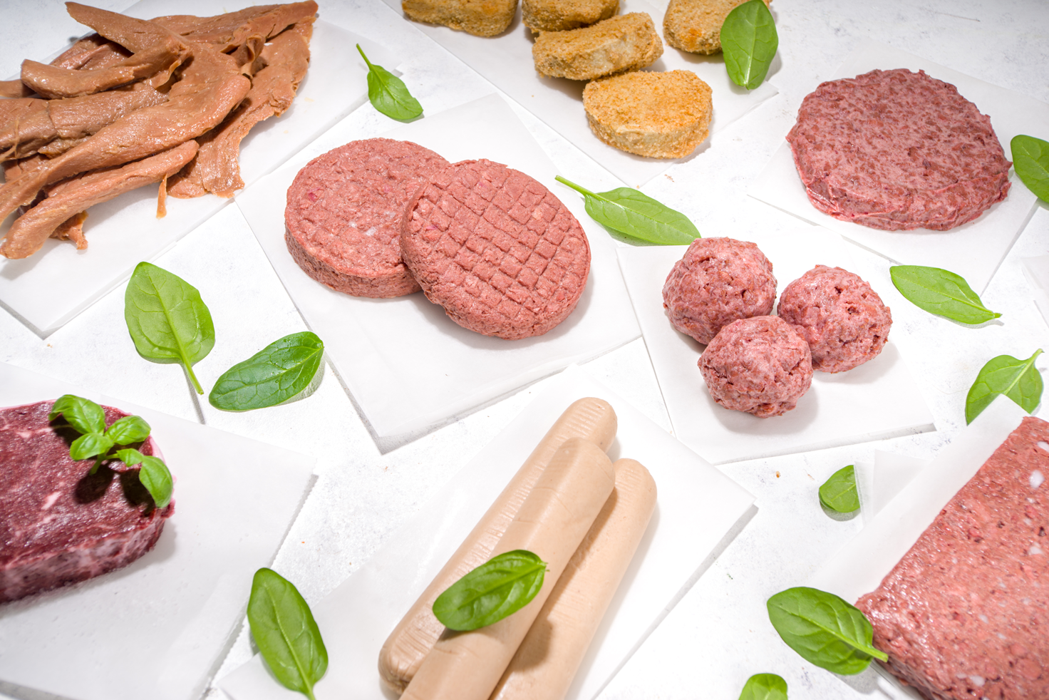 Symega forays into plant-based protein space