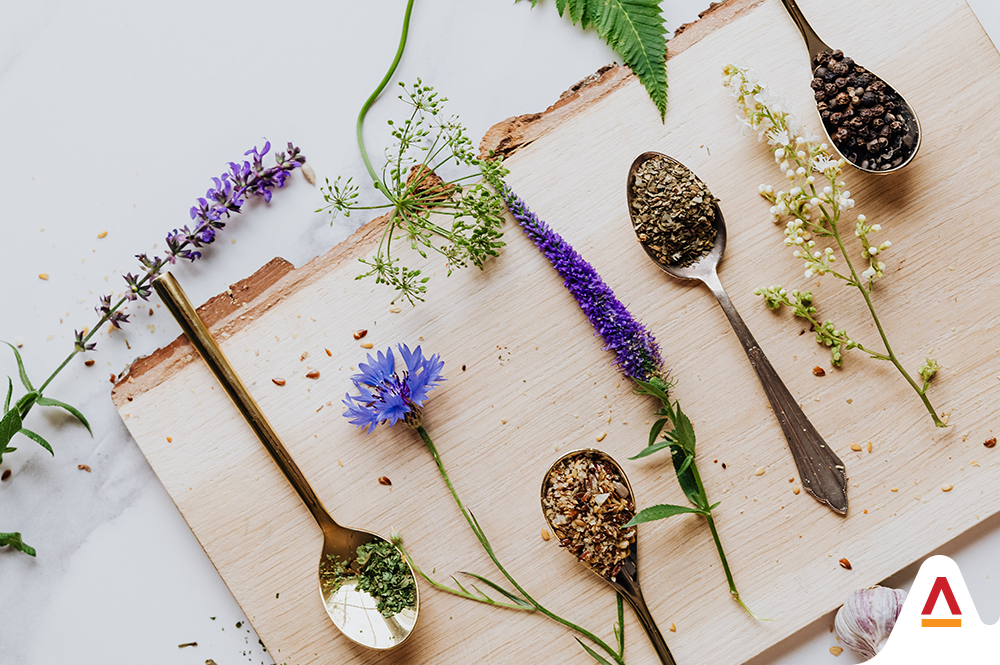 Exploring Nature’s Botanical Bounty