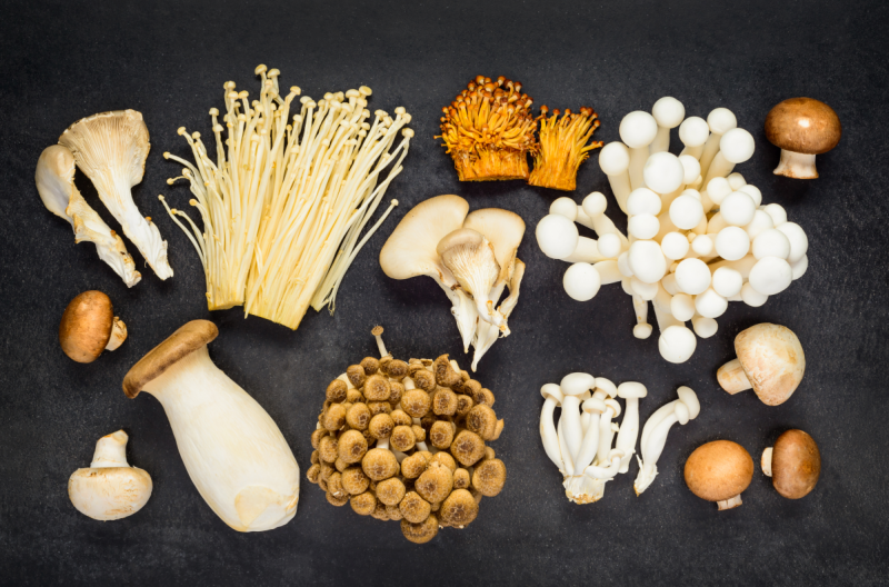 The Quest for a Safer, Cleaner Umami: The Fifth Taste
