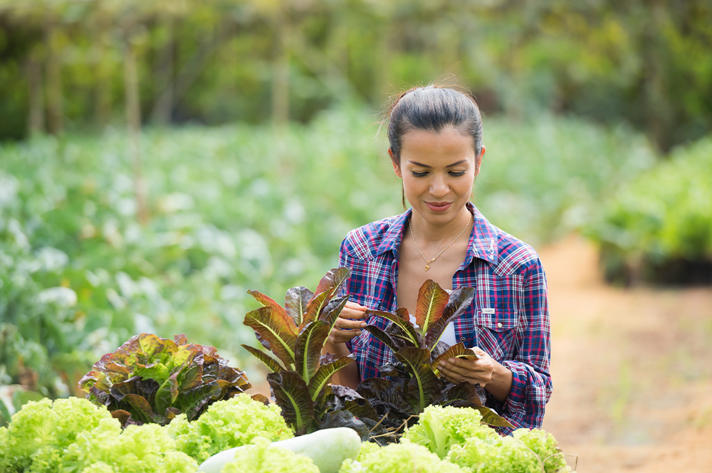 A women in a farm