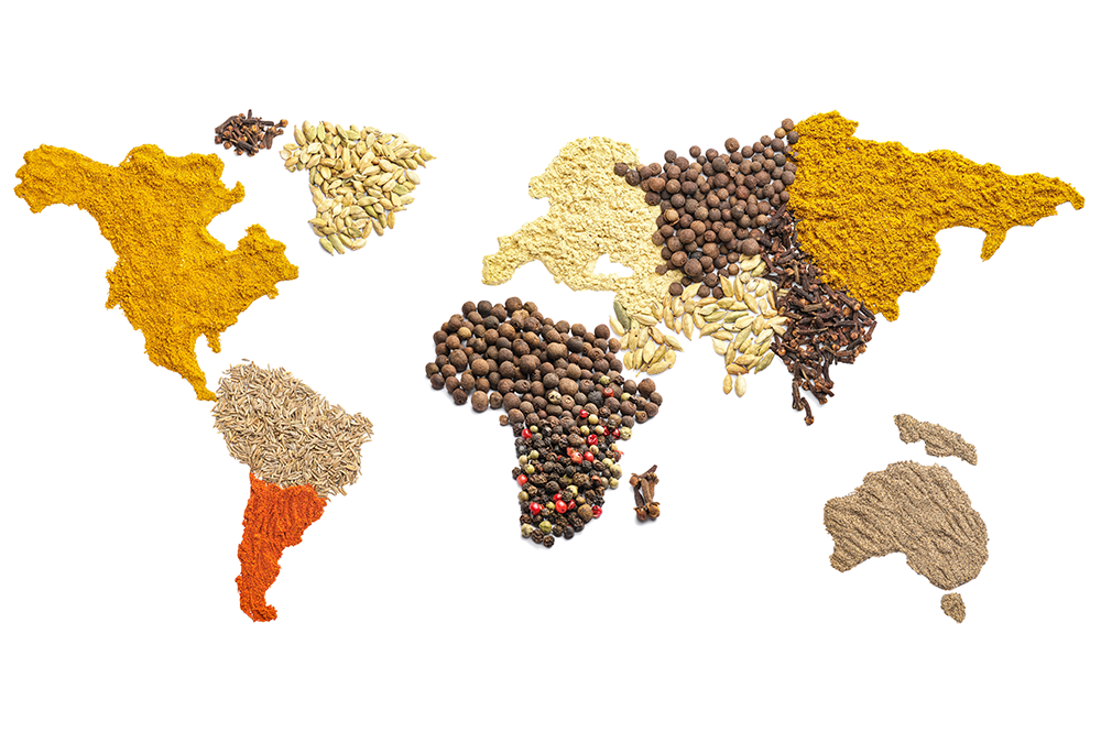 world map made with grains and spices